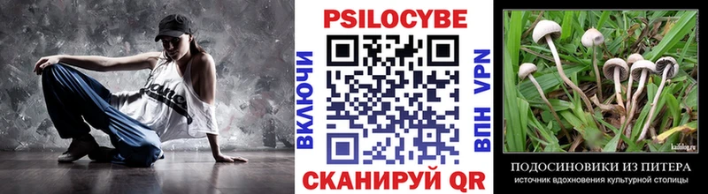 Галлюциногенные грибы Psilocybe  Сурск 